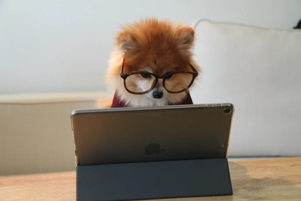 chien avec des lunettes derrière un ordinateur